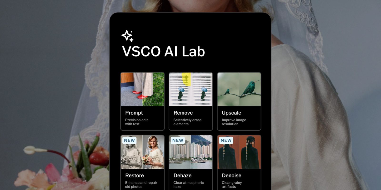 VSCO Improves AI Lab Editing Features with the Launch of Five New Photo Filters