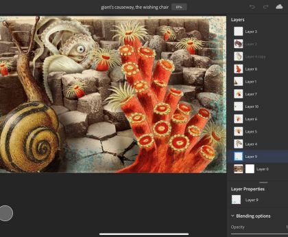 VSCO Launches Independent Galleries App to Simplify Shared Photo Management
