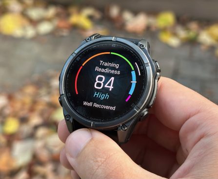 WhatsApp Now Accessible for Garmin Fenix and Forerunner Smartwatch Owners