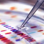 Why Scientists Can't Get a Laugh