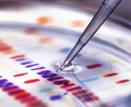 Why Scientists Can't Get a Laugh