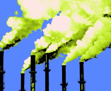 'Work from Home,' Encourages the World’s Energy Watchdog