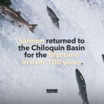 Zero Pollution Motors' Voyage Following Shark Tank: Results After Season 6