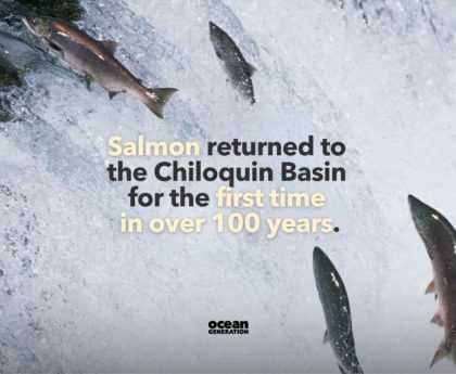 Zero Pollution Motors' Voyage Following Shark Tank: Results After Season 6