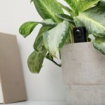 Amazon Device for Rapidly Identifying Concealed Cameras at $37