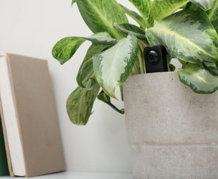 Amazon Device for Rapidly Identifying Concealed Cameras at $37