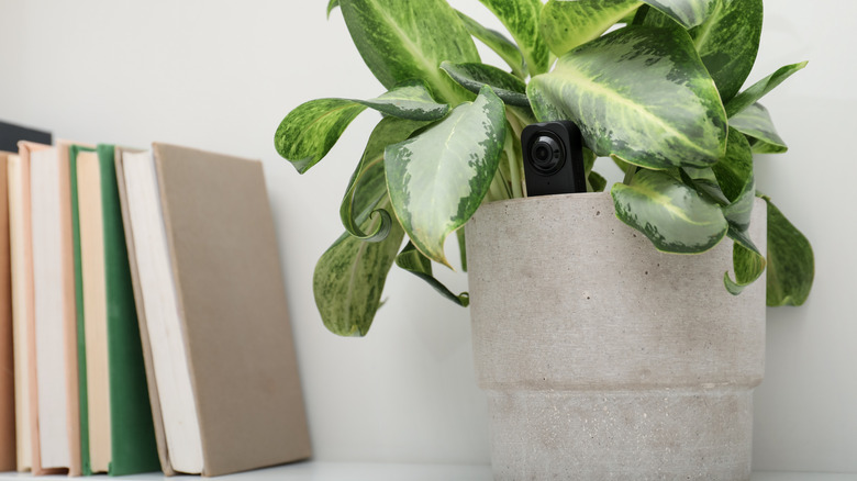 Amazon Device for Rapidly Identifying Concealed Cameras at $37