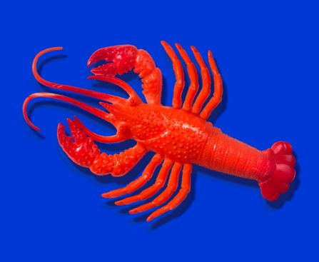 Anthropic Announces Additional OpenClaw Charges for Claude Code Subscribers