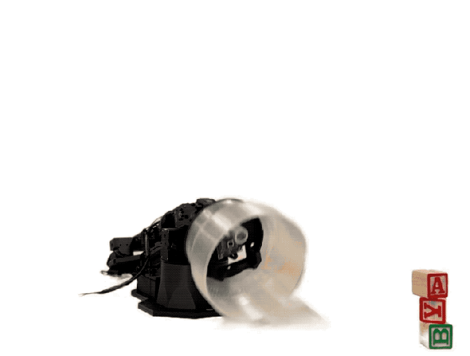 Apple Under Ternus: What's Next for the Tech Giant's Hardware Strategy