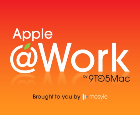 Apple @ Work: Evaluating Safari as a Possible Shadow IT Vulnerability in Organizations