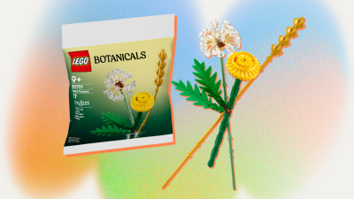 April's Last Free Lego: A Cute Field Flowers Bouquet from the Botanicals Collection