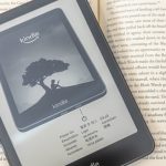 Assessing the Worth of a Kindle for iPad Users