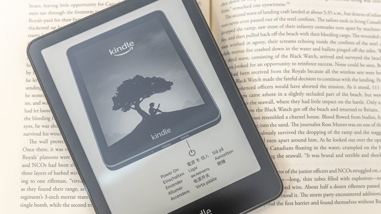Assessing the Worth of a Kindle for iPad Users