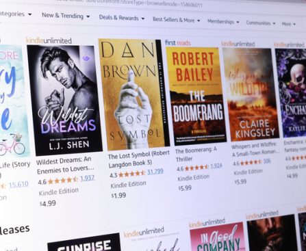 "Ceasing of Kindle for PC App: Possible Compatibility Concerns with Its Successor"