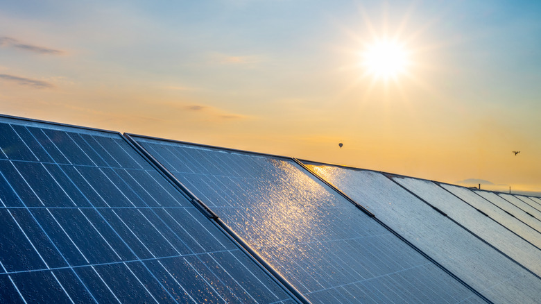 Contrasting Blue and Black Solar Panels: Which Variant Delivers Superior Performance?