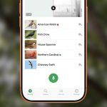 Cornell's Complimentary iPhone Application Unveils Solutions to Nature's Springtime Enigmas