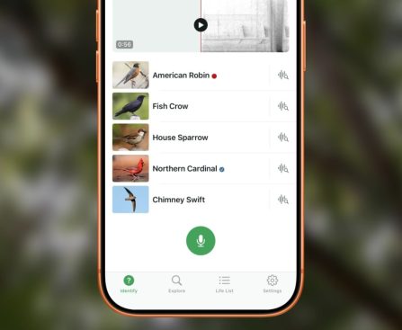 Cornell's Complimentary iPhone Application Unveils Solutions to Nature's Springtime Enigmas