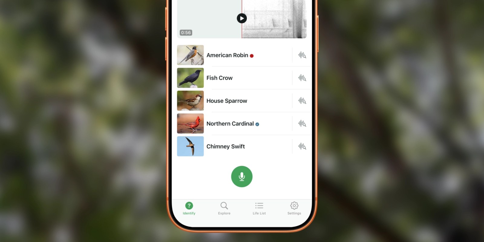 Cornell's Complimentary iPhone Application Unveils Solutions to Nature's Springtime Enigmas