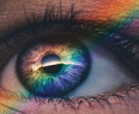 Craft a Multicolored MacBook Neo with Authentic Apple Components for Just $39