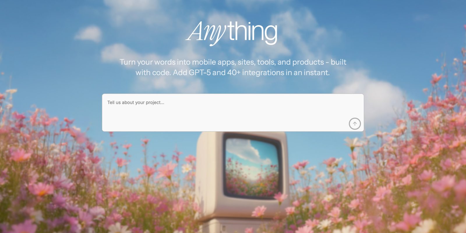 Creators of Vibe Coding App Anything Outline Outline Future Actions After Extended Conflict with Apple