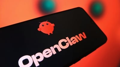 Discovery of a Scary OpenClaw Vulnerability