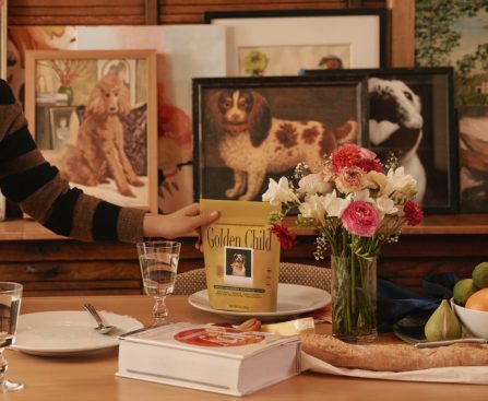 Drizzle On Top: A High-End Dog Food Brand Targeting the 1%