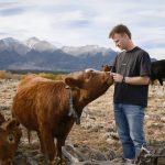 Examining Peter Thiel’s Major Investment in Solar-Powered Cow Collars