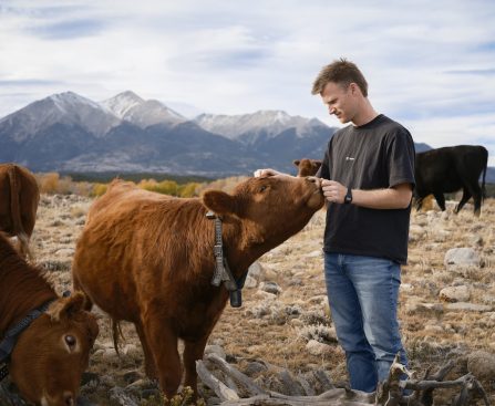 Examining Peter Thiel’s Major Investment in Solar-Powered Cow Collars