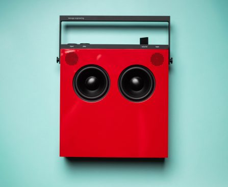 Explore Distinct Attributes of This Trendy Bluetooth Speaker