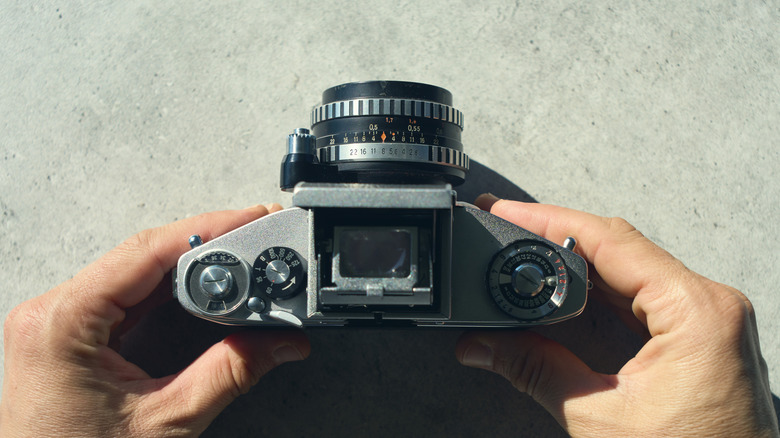 Five Affordable Cameras to Improve Your Photography Journey