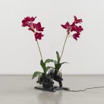 Ghost Orchid in the Machine