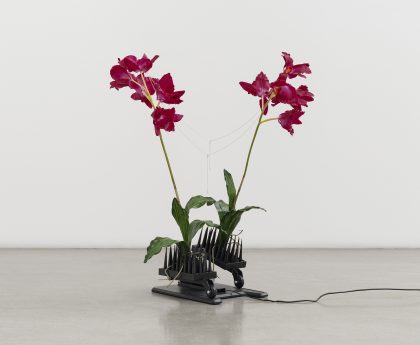 Ghost Orchid in the Machine