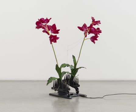 Ghost Orchid in the Machine