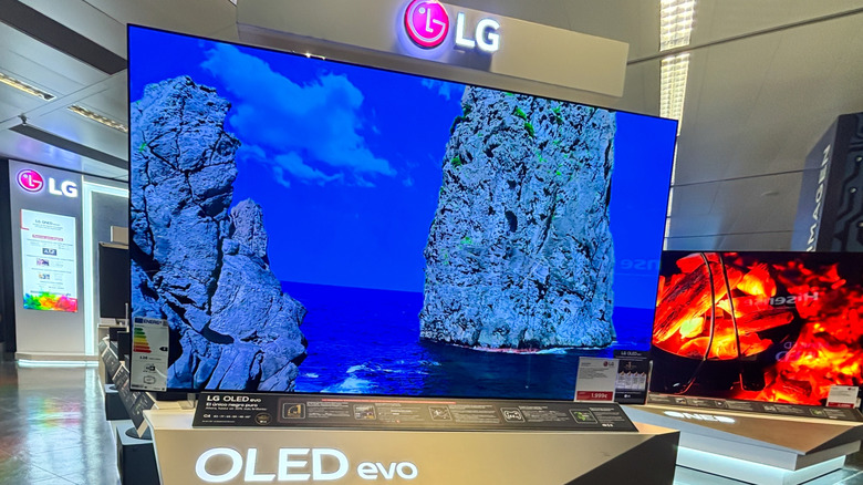Grasping the Significance of 'Evo' on LG OLED Televisions