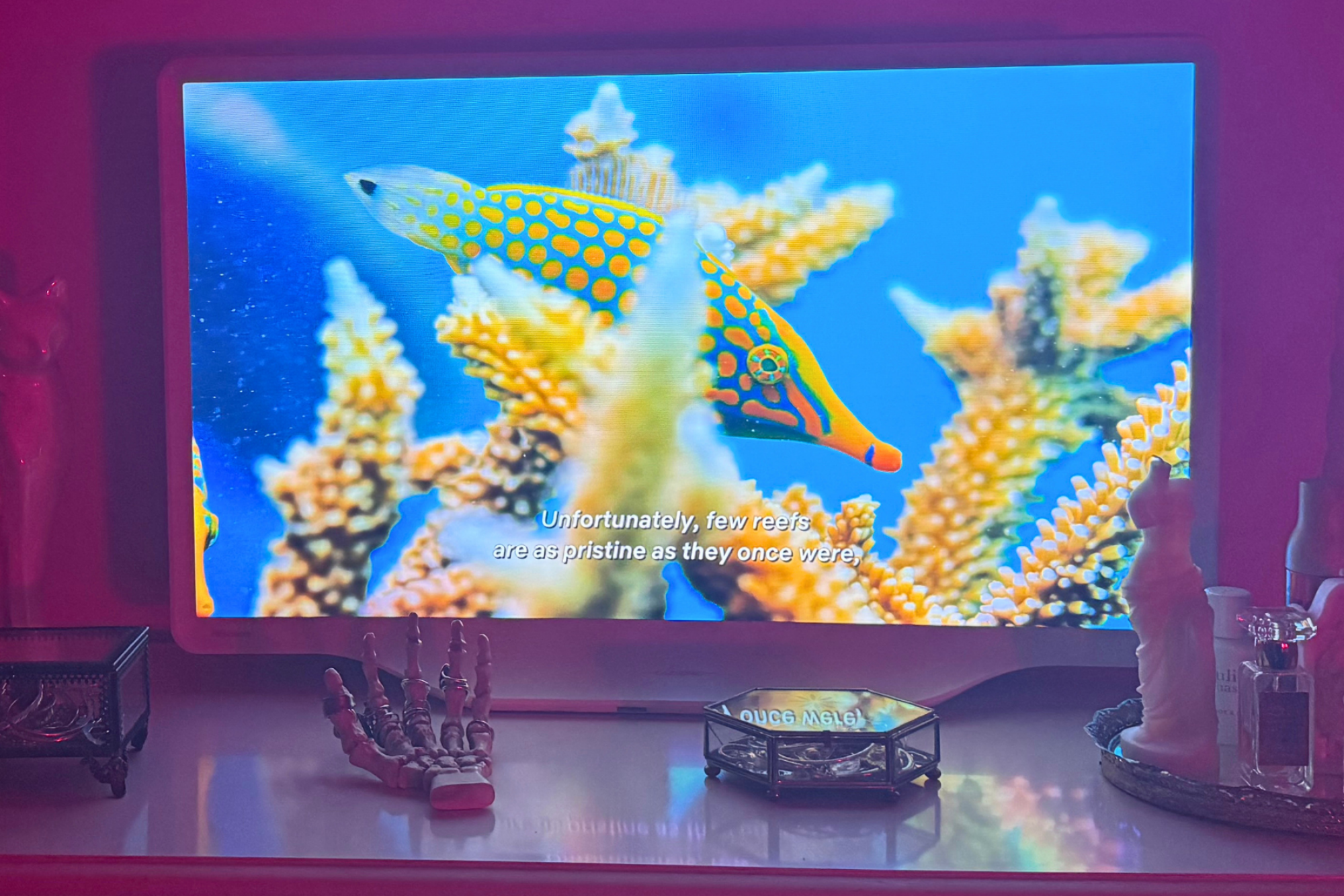 Hisense Déco TV sitting on dresser while playing a scene from 'Our Planet'