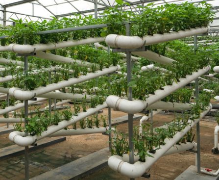 How China's Greenhouse Innovation is Changing Agriculture