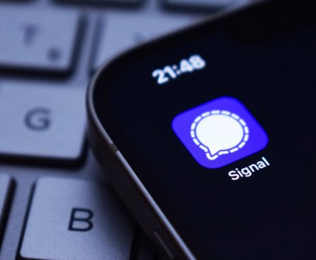How to Guarantee the Privacy of Deleted Messages in Signal