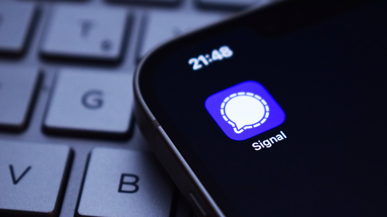 Signal messaging app displayed on an iPhone with the device on a keyboard