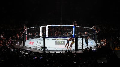 How to Stream UFC Matches Live Online for Free