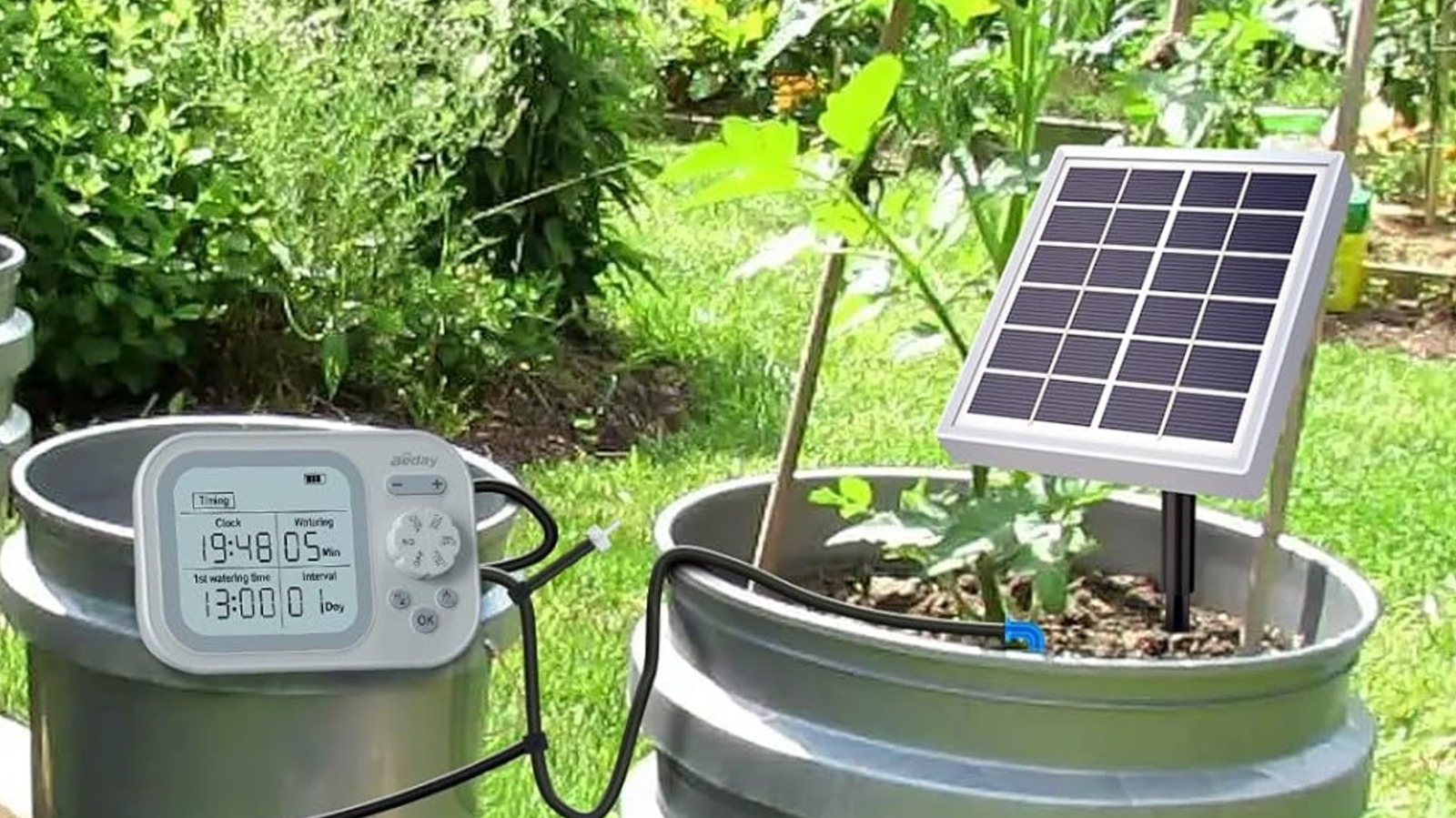 Intelligent Solar Irrigation System on Amazon Conserves Time and Funds