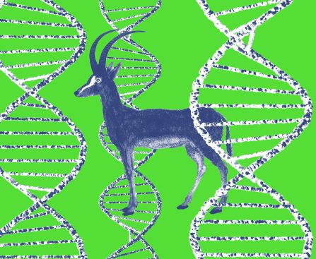 Is this 'de-extinction' project actually onto something?