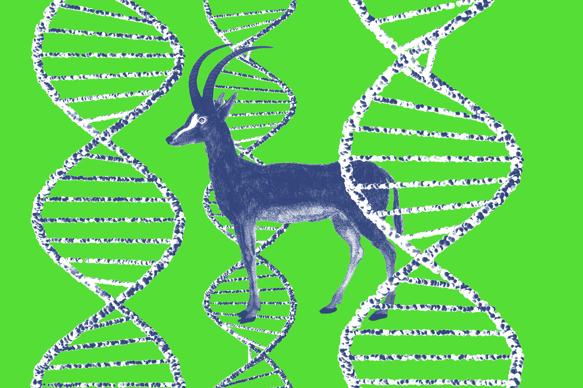 Is this 'de-extinction' project actually onto something?