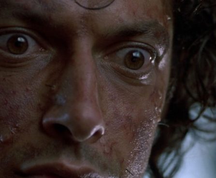 Jeff Goldblum's Overlooked Sci-Fi Body Horror Film from the 1980s