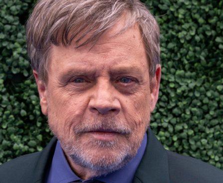 Mark Hamill's Neglected Live-Action Anime Adaptation Now Accessible for Free Streaming
