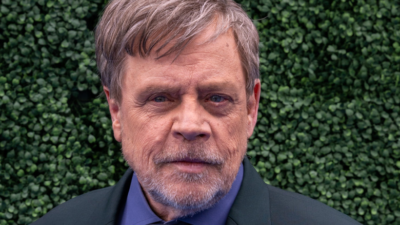 Mark Hamill's Neglected Live-Action Anime Adaptation Now Accessible for Free Streaming