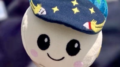 Own Your Very Own Little Artemis II Rise Plushie Now