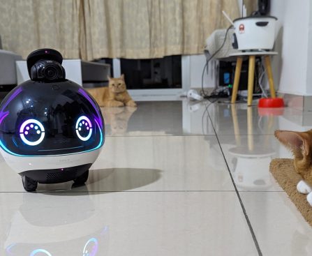 "Reasons the Enabot EBO X Stands Out as the Premier Alexa-Enabled Pet Companion Robot on Wheels"