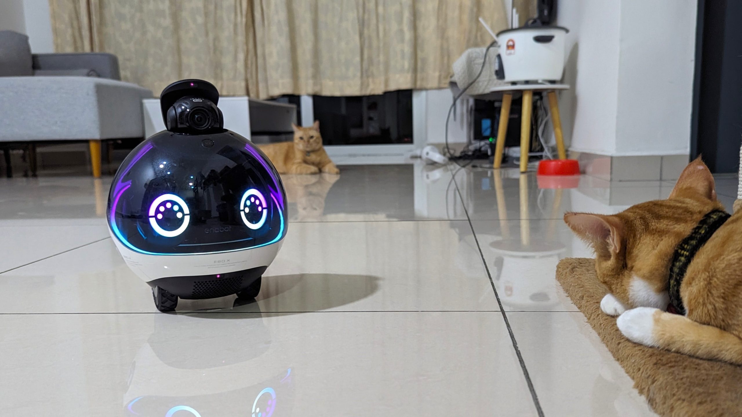 "Reasons the Enabot EBO X Stands Out as the Premier Alexa-Enabled Pet Companion Robot on Wheels"