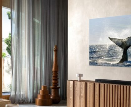 Researchers Propose the Expensive Home Theater Theory Might Be a Fallacy