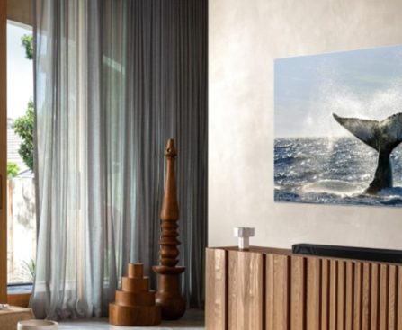 Researchers Propose the Expensive Home Theater Theory Might Be a Fallacy